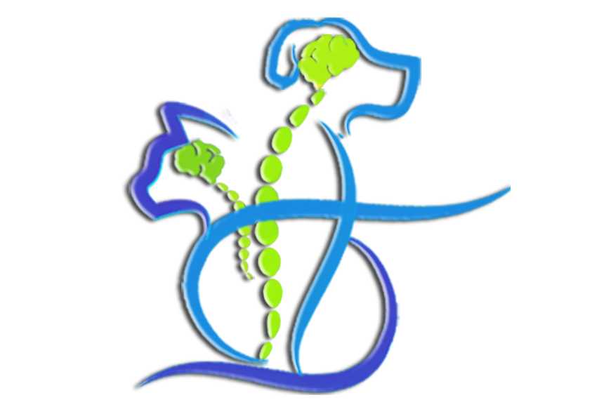 SRVNNMC Neurovet